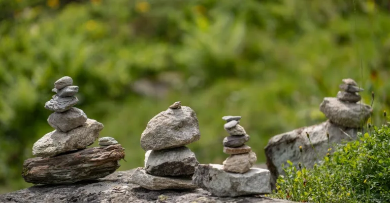découvrez la pierre de lauze, un matériau naturel et traditionnel utilisé en construction et couverture, réputé pour sa durabilité et son esthétique authentique.