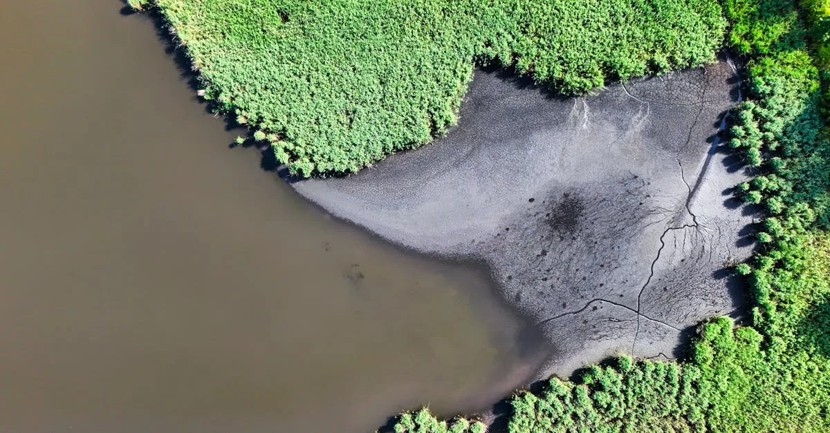 découvrez des habitats durables alliant écologie, innovation et bien-être pour un avenir respectueux de la planète.