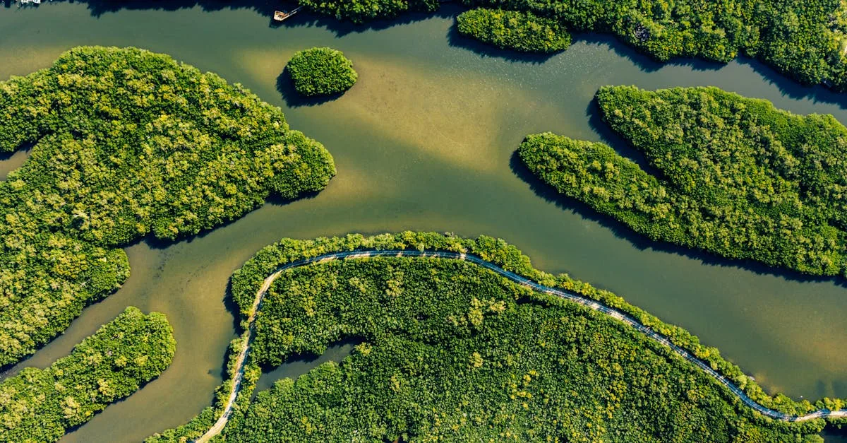 découvrez des habitats durables conçus pour préserver l'environnement tout en offrant un confort optimal et une qualité de vie respectueuse de la planète.