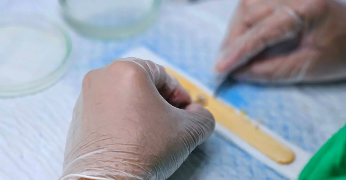 découvrez notre solution clean strip pour un nettoyage rapide et efficace, éliminant saletés et résidus en un seul geste.