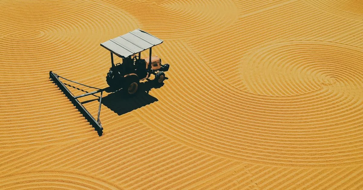 découvrez notre gamme de panneaux osb avec revêtement de haute qualité, offrant durabilité et protection optimale pour vos projets de construction et rénovation.