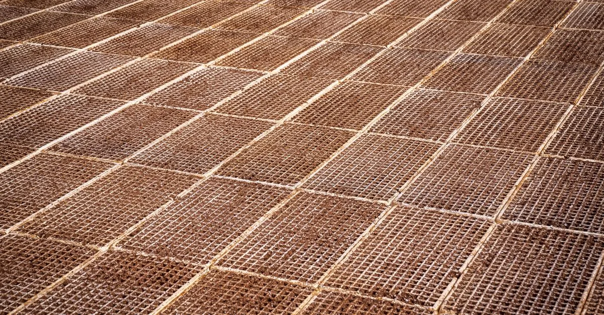 découvrez notre membrane de désolidarisation pour une isolation optimale et une protection durable des surfaces contre les fissures et mouvements structurels.